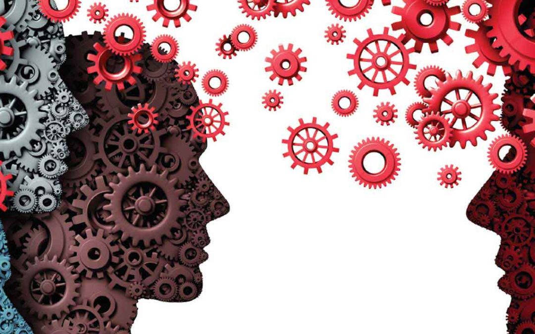 What did I learn from “Together Mentoring”?