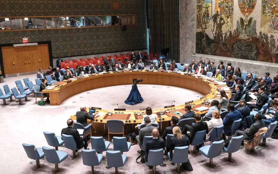 Leading the Security Council with purpose